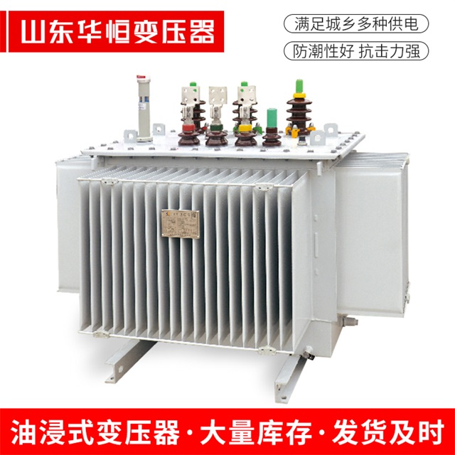 S13-10000/35永康永康永康电力变压器
